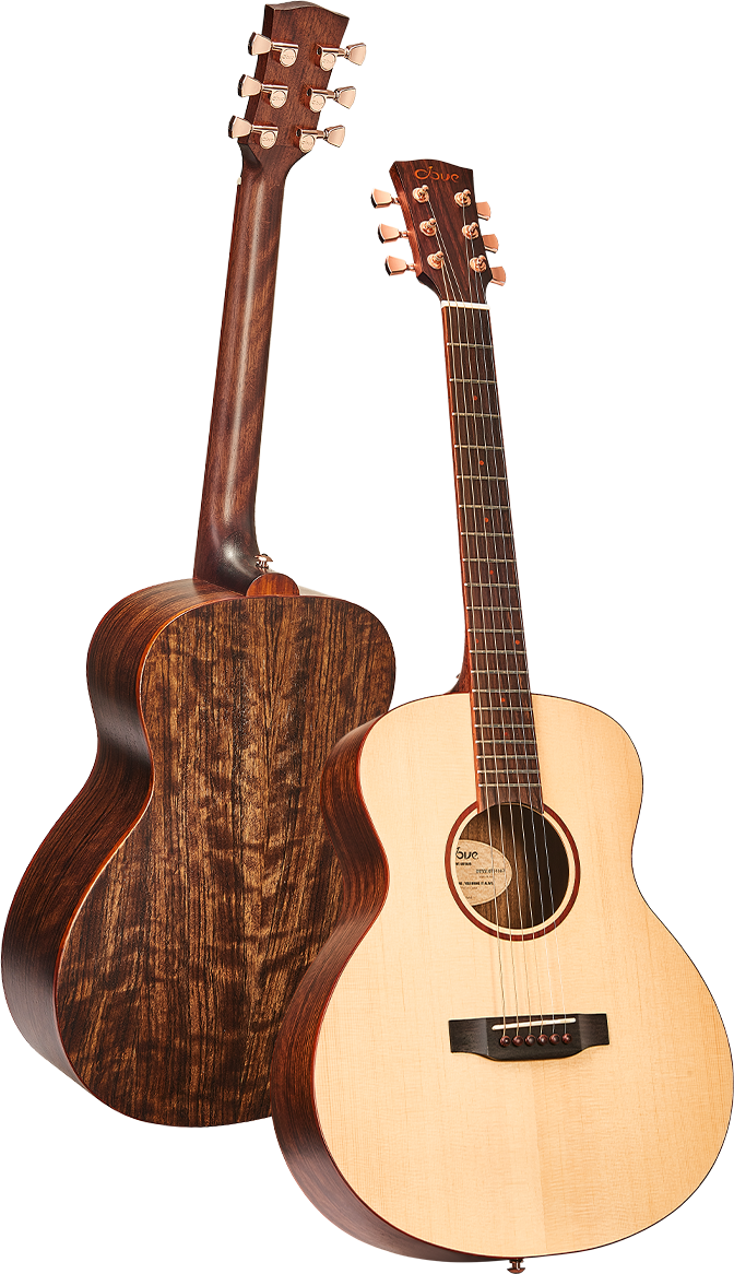 dove guitars03 鸽子吉他 - dtb310